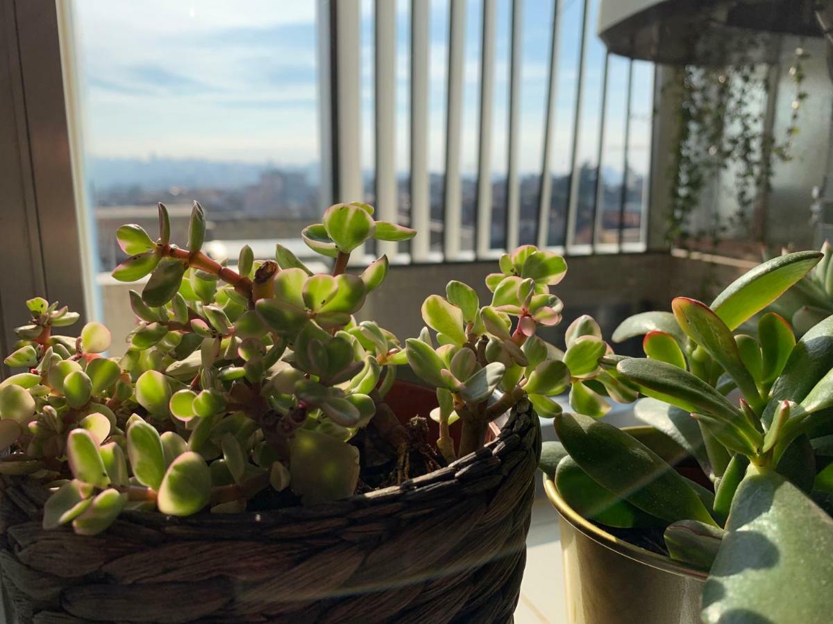 Sp199 Flat Apartment Порто Екстериор снимка